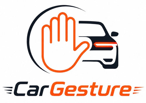 CarGesture